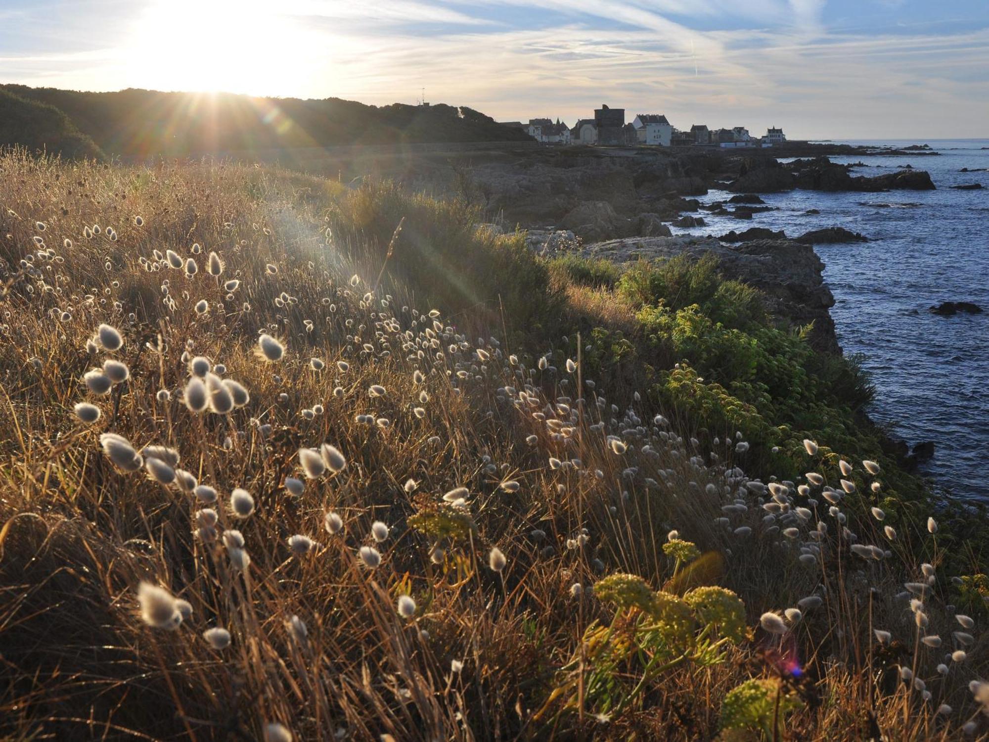 Appartements En Bord De Mer Avec Wifi Et Animal Accepte A Piriac-Sur-Mer - Fr-1-306-943 Exteriér fotografie